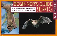 Hachette Stokes- Beginners Guide to Bats